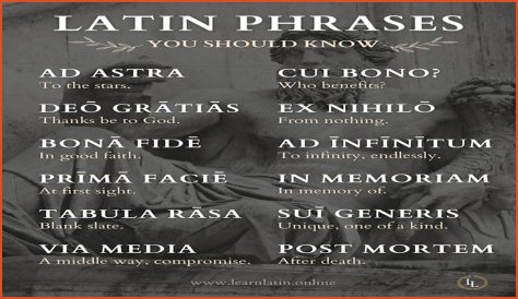 A Profile Of A Latin Beauty